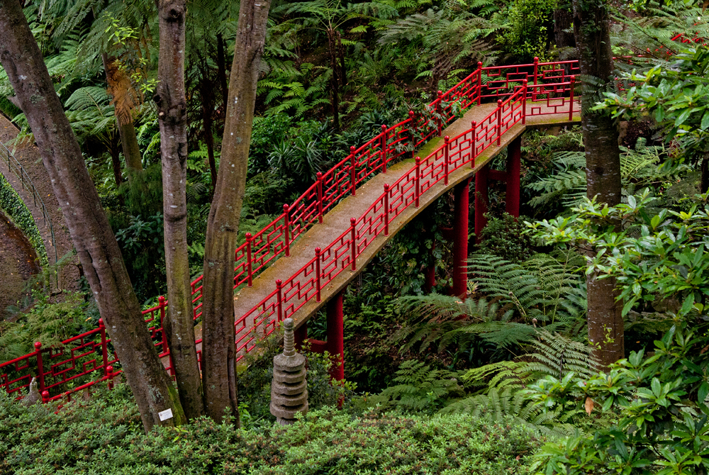 272_Madera_Jardim Tropical Monte Palace.jpg